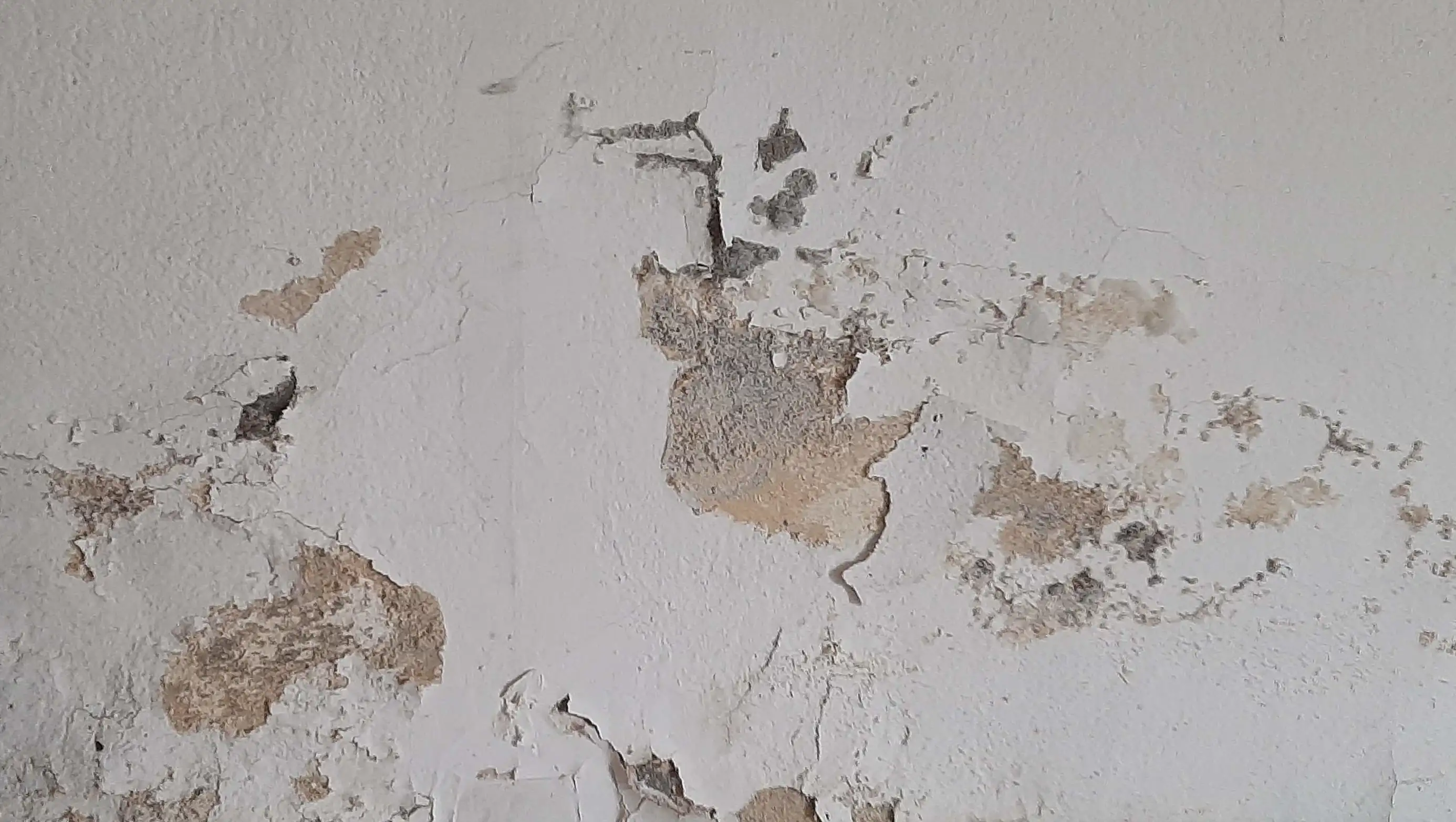 Écaillement de peintures — humidité du bâti