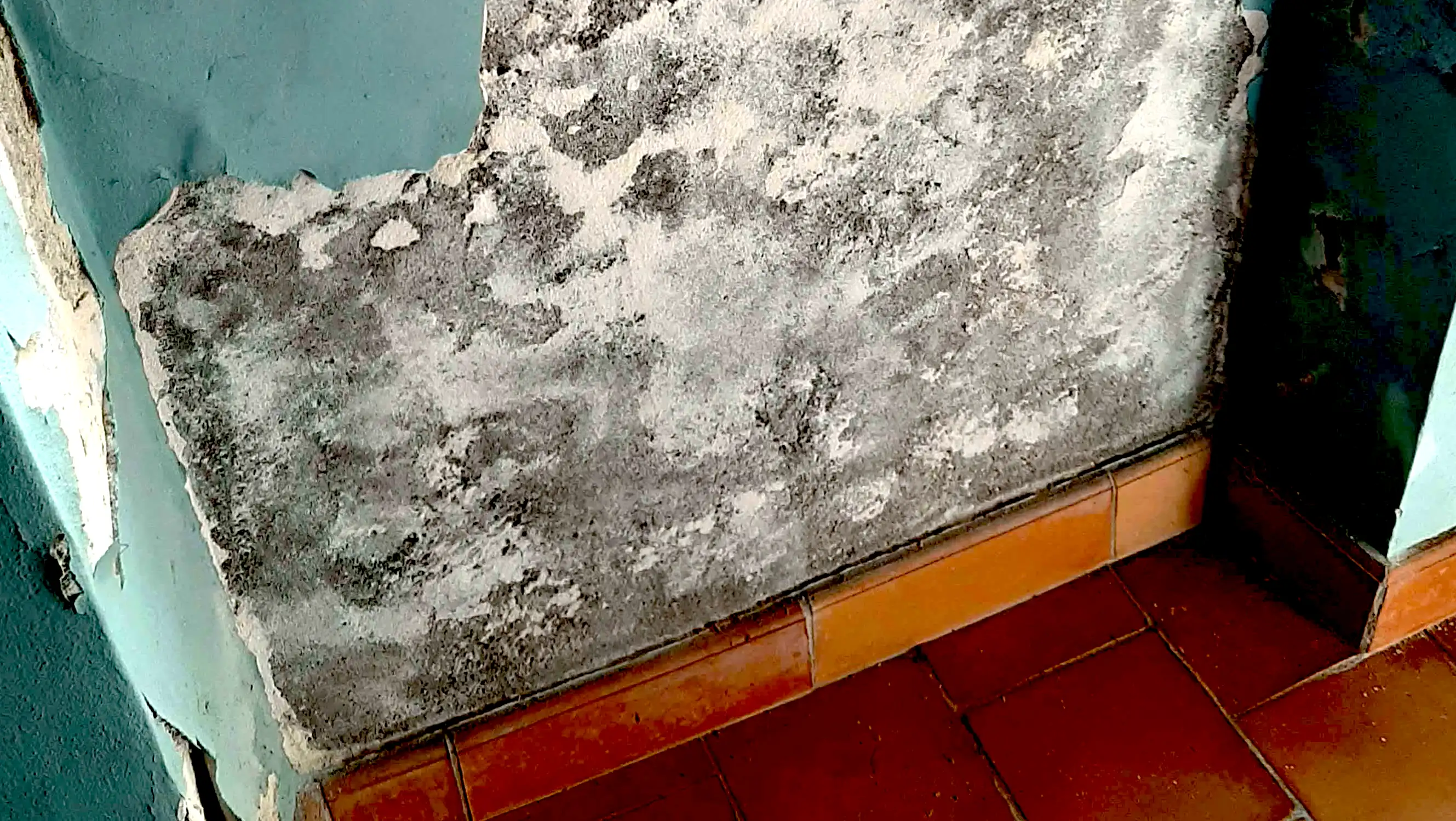 Mur dégradé par des remontées capillaires : salpêtre et enduit effrité