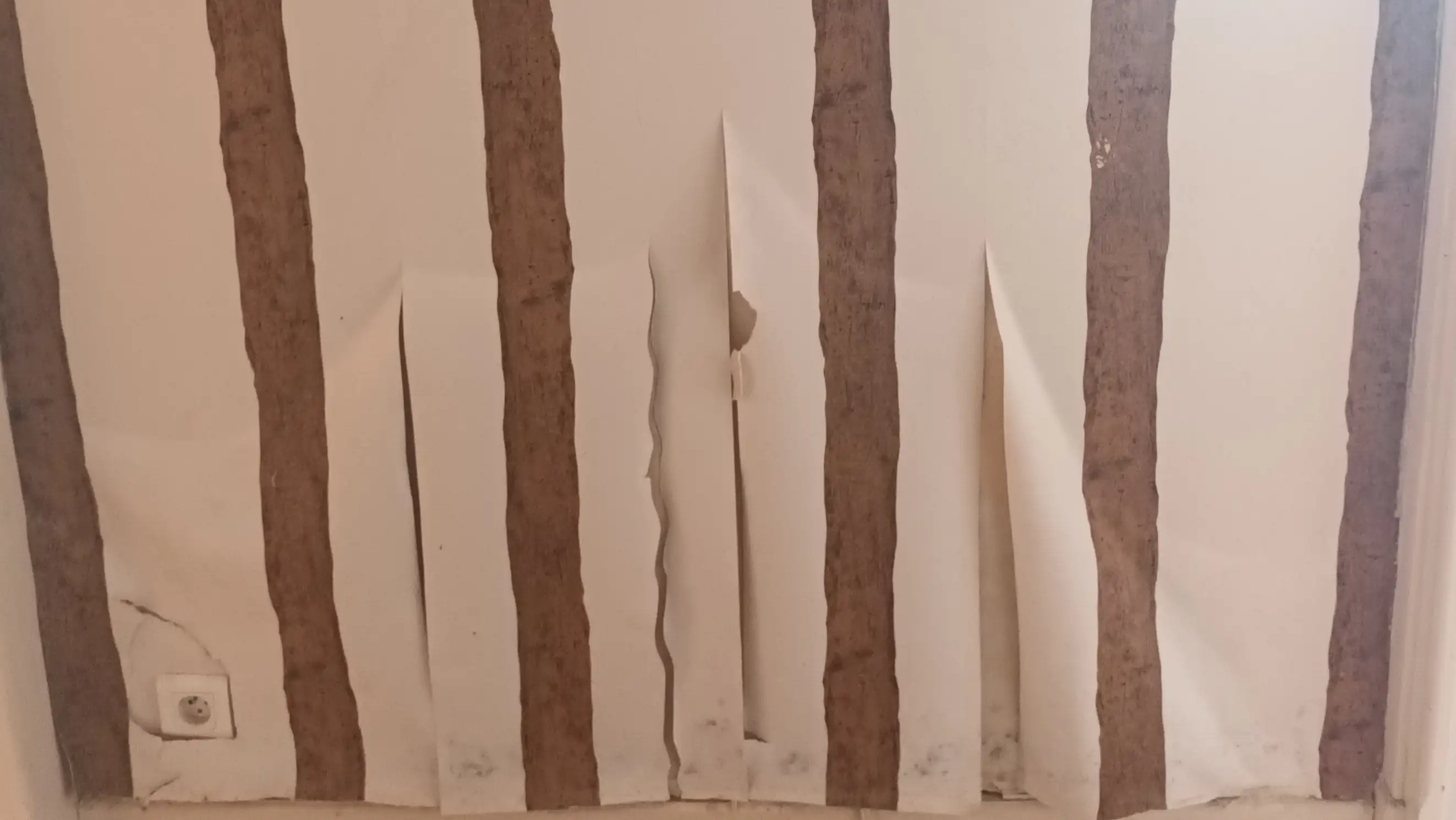 Décollement des papiers peints sur un mur humide