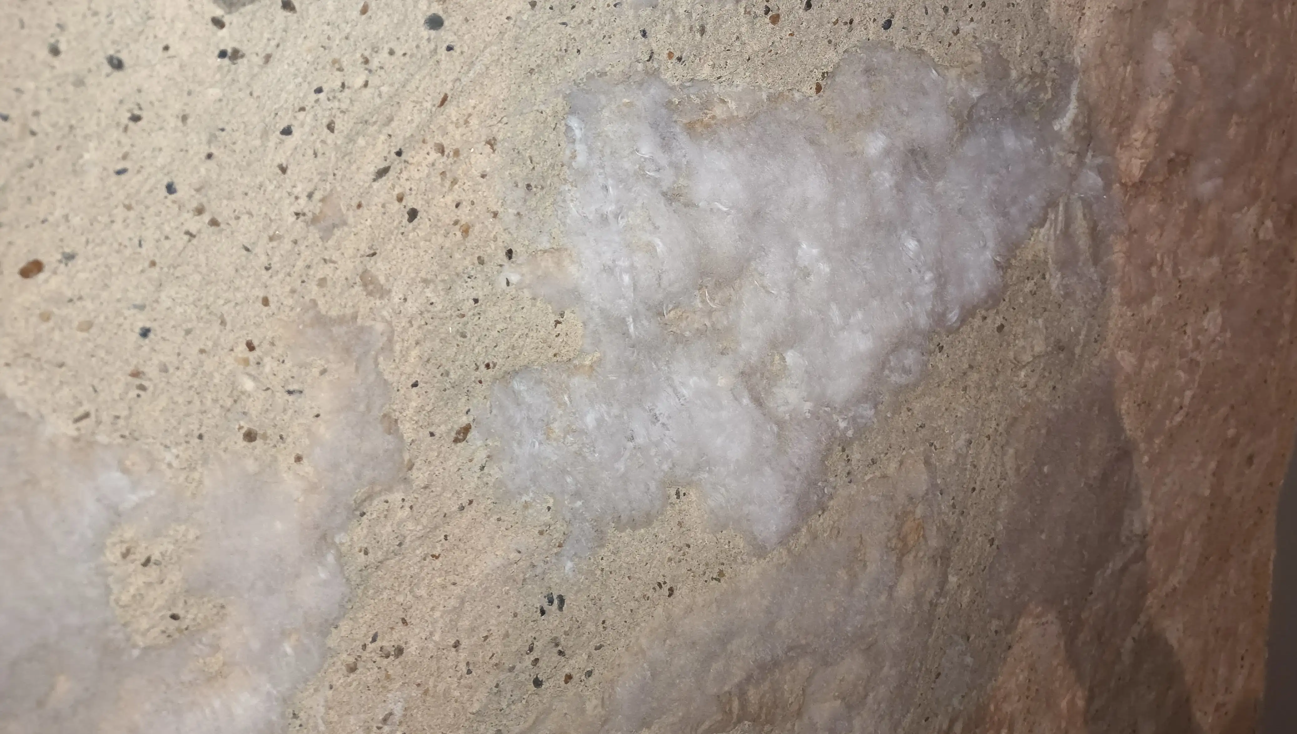 Salpêtre sur un mur humide
